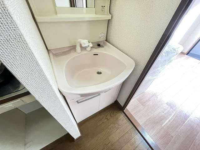 ステラハウス15の洗面所