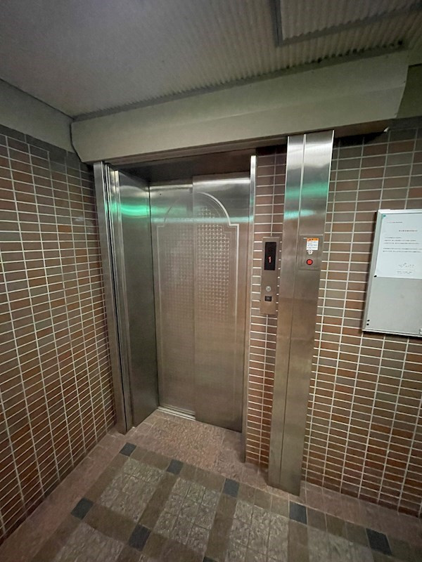 レーベント大橋の外観