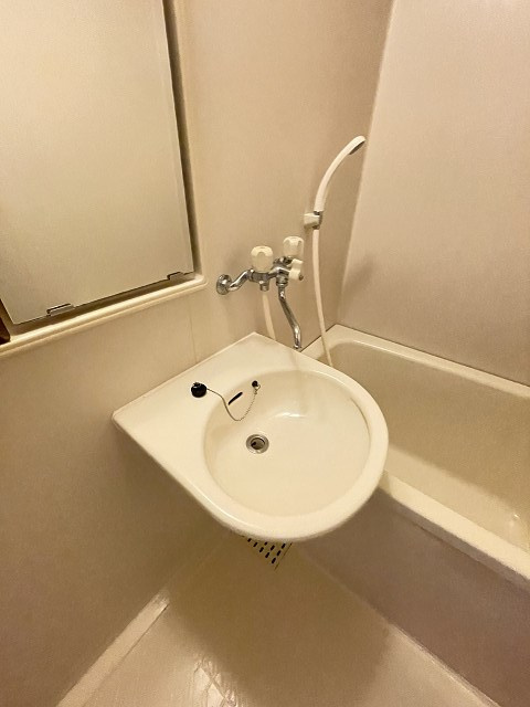 フローレンス西宮Ⅰの洗面所