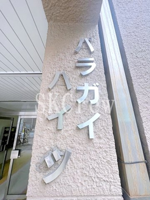 【その他】 | パラガイハイツ