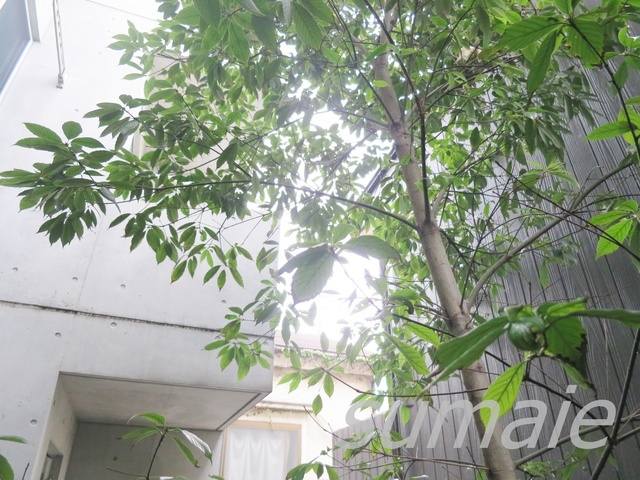 ベルテ・エフの展望|眺望はこちらです☆