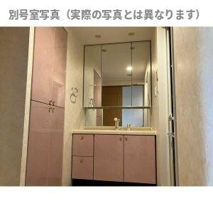 メイツ江南の洗面所