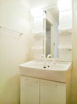 スペースが確保できる洗面所です