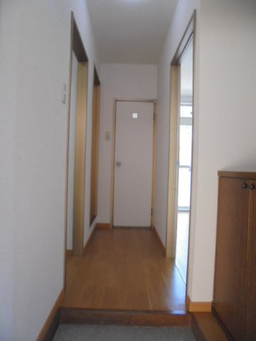 落ち着いた玄関です