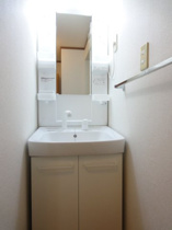 ゆったりとスペースのある洗面所