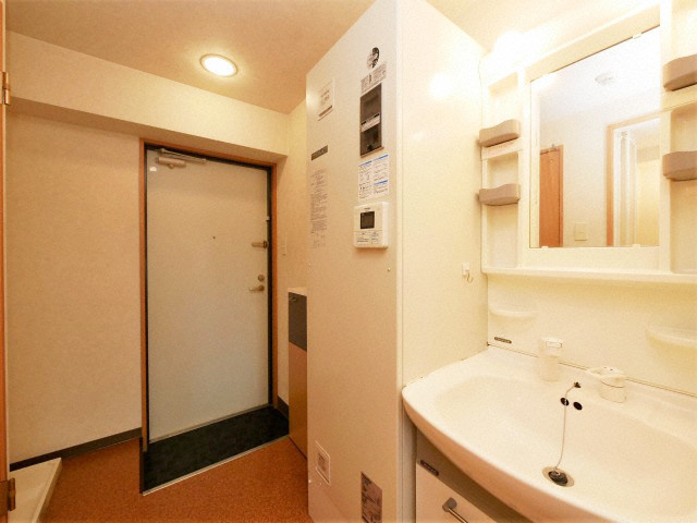 ドリームコート岸里の洗面所