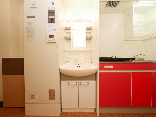 ドリームコート岸里の洗面所