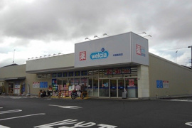 ウエルシアまで1100m