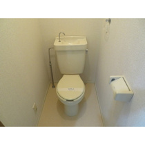 落ち着いた色調のトイレです