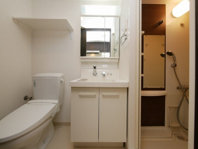 エステムコート難波サウスプレイスIVパークグレイスの洗面所