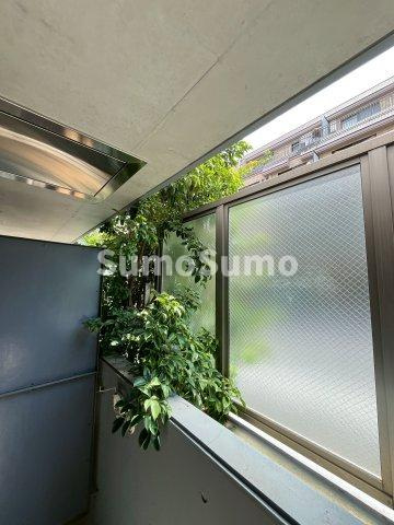 ロンスター三軒茶屋の展望
