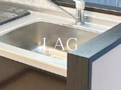 【その他】 | Ｂｉｒｄｌａｎｄ | シンクです。