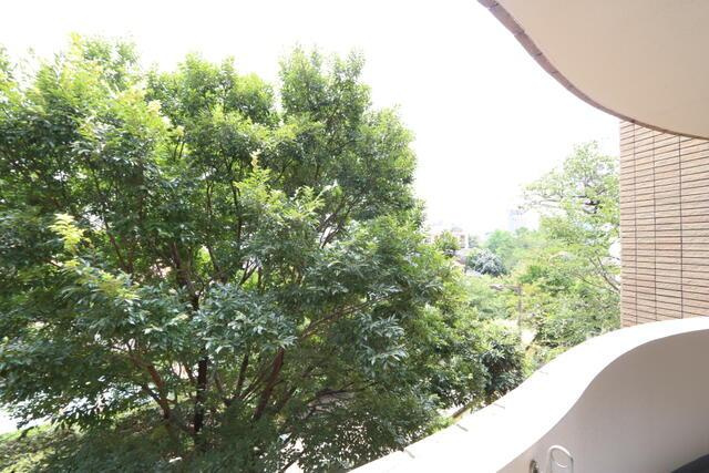 ワイズスクエアーの展望