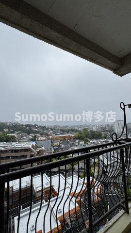 大産桜坂マンションの展望