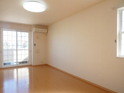 【その他】 | ラピッド