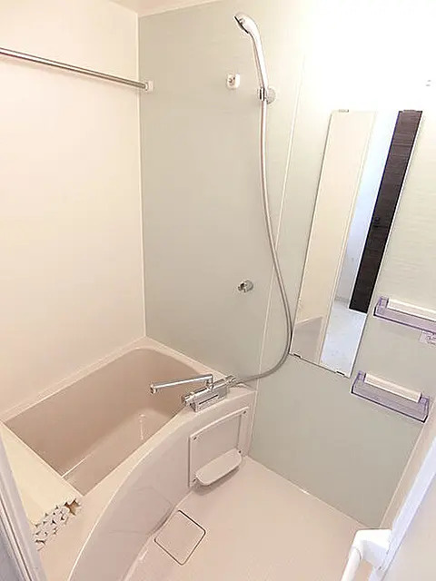 ディアレイシャス押上スカイヴィレッジの浴室