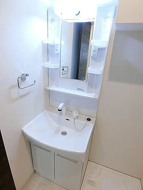 ディアレイシャス押上スカイヴィレッジの洗面所