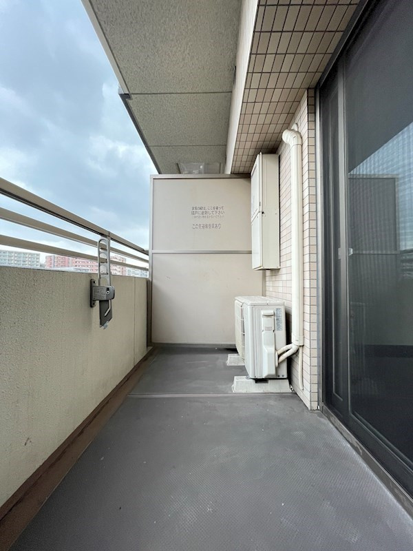 La Fase VERXXED HAKATAの展望