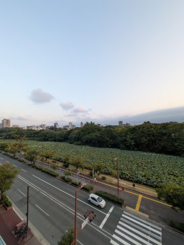 アトリエ平和台の展望