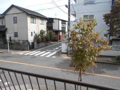 【展望】 | メゾン金子