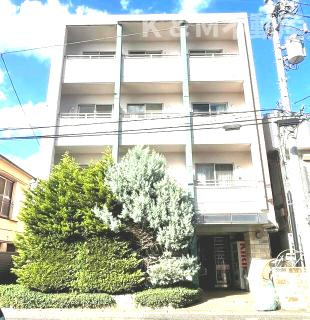 クレストガーデン柏壱番館の外観|外観もきれいです