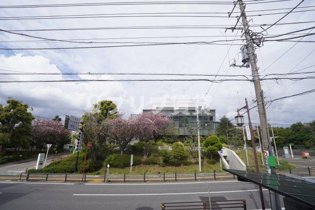 クロモクテラス弁天の展望