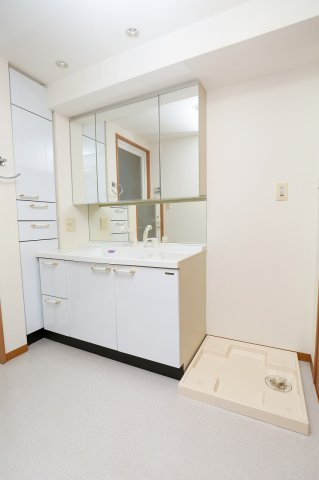 グリーンミユキ小山の洗面所