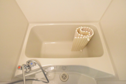 フローマ門前仲町リバーサイドの浴室