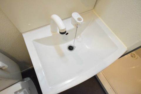 フローマ門前仲町リバーサイドの洗面所