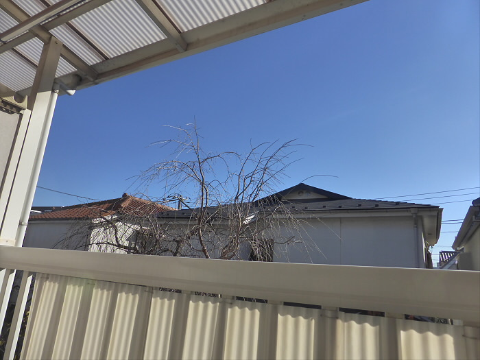 サンハウスタカノの展望