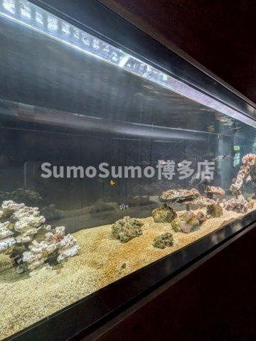 グランフォーレ箱崎プレミアのその他共用部分