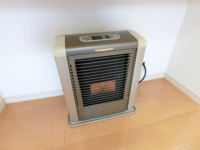 モリーゼのセキュリティ