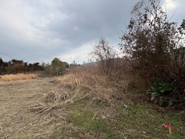 【外観】 | 土師3639-1