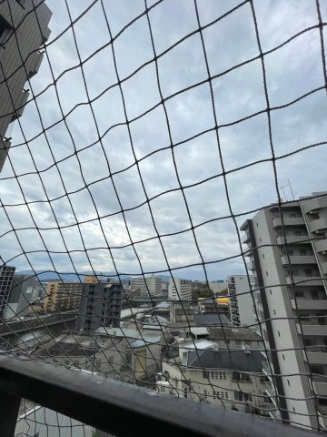 ダイナコートエスタディオ山王公園の展望