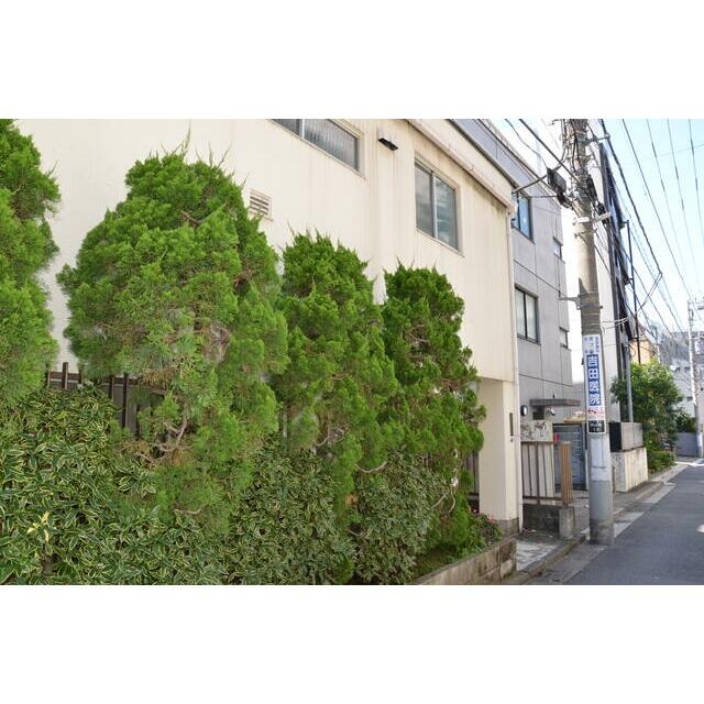 ドミセラベルス