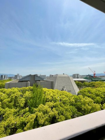 ピュアドームディア県庁前の展望