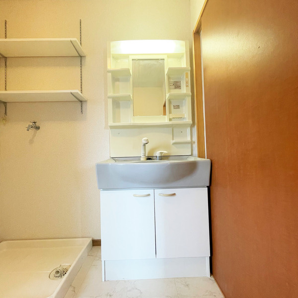 ヴィラ多摩川の洗面所