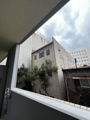フェルト627の展望