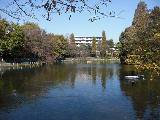 武蔵関公園まで462m