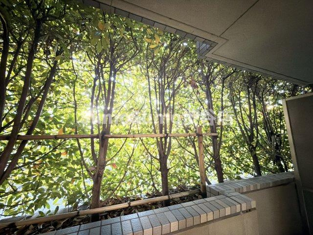 ルーブル三軒茶屋伍番館の展望