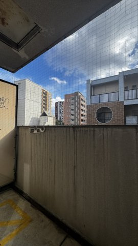 ルポ六本松の展望