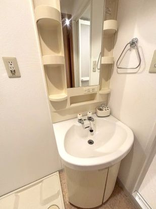 グリーンプラザみそのの洗面所