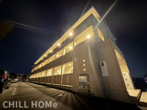 オルタシア カツラ