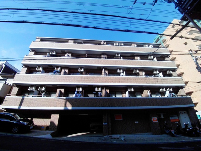 パルミナード弓木