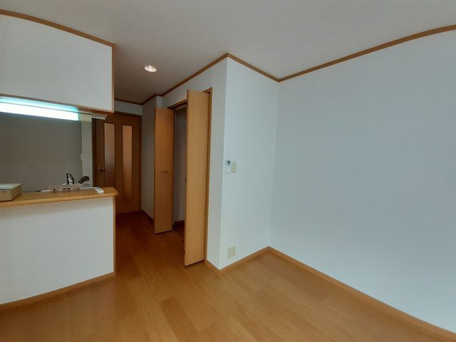 ノイ　インプレスの収納|こまごまとしたものを収納できそうですね