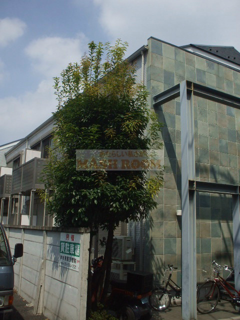 カーサベルデ中野の設備