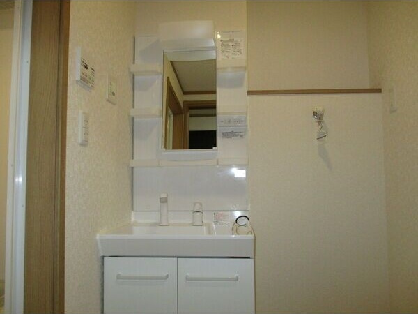 グランデ ブリリアの洗面所