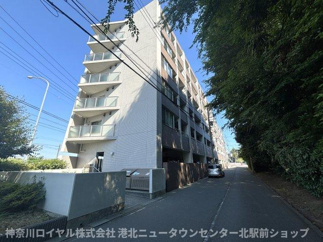 Y's court 三保の画像