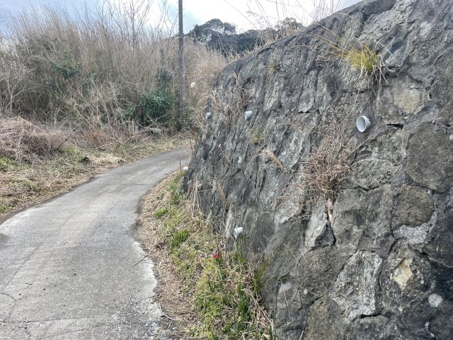 安東・二子土地の外観