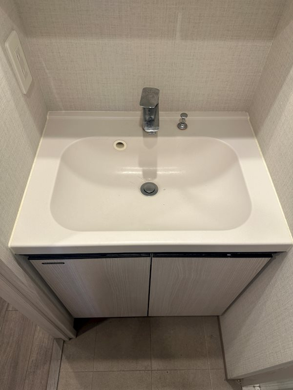 新品家具付きマンション池袋9(KaGood東京)の洗面所
